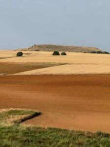 Salamanca battlefield