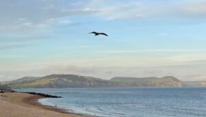 Jurassic Coast from Lyme Regis